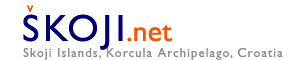 Skoji Logo